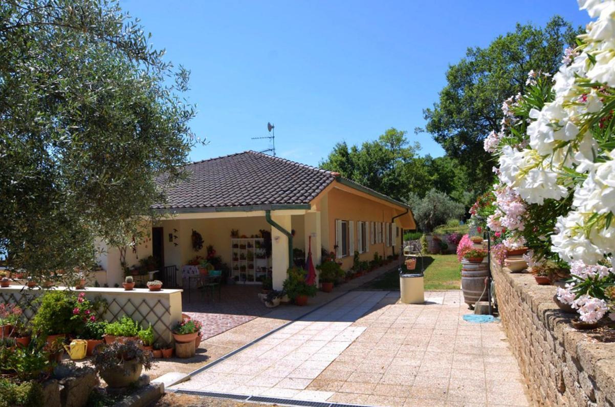 פסיניאנו סול טרסימנו B&B Torre Del Lago Trasimeno מראה חיצוני תמונה